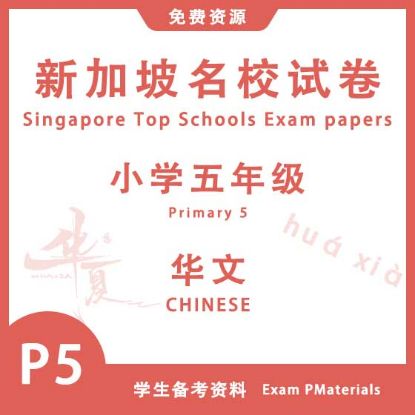 显示明细 P5 小学五年级华文 | 2011 - 2024 | 新加坡名校试卷 图片 P5 小学五年级华文 | 2011 - 2024 | 新加坡名校试卷