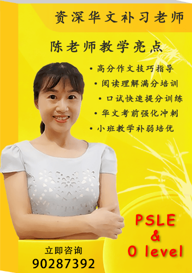 图片 陈老师 | 专注新加坡PSLE & O LEVE 中小学华文补习二十年 | 用成绩说话